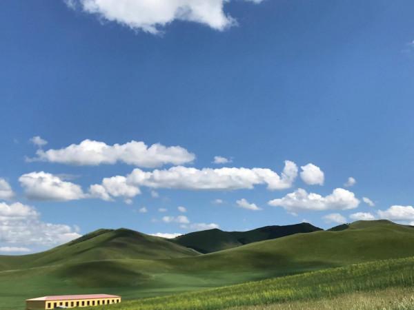 提前打樣 壩上草原最美的風景 實景拍攝 美不美你說了算