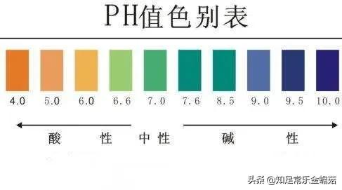 究竟是誰？主導了酸鹼體質的騙局