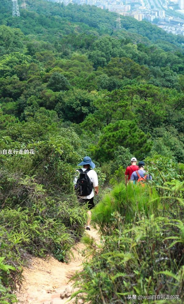 這個秋天,繼續闖蕩福州鼓山,用腳步丈量她的美 | 第63條徒步路線 這個秋天,繼續闖蕩福州鼓山,用腳步丈量她的美 | 第63條徒步路線