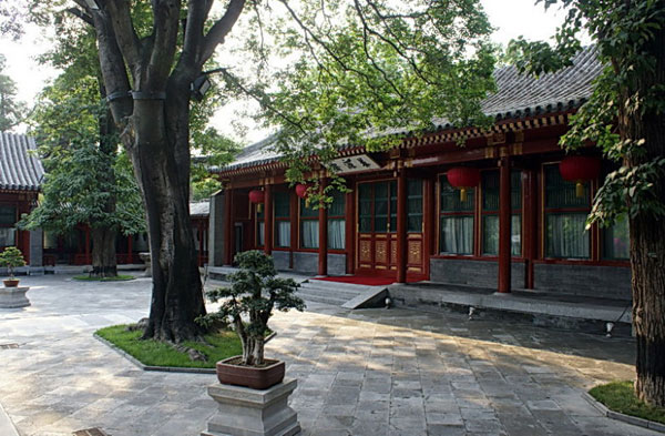 北京金秋一個火熱地標，堪稱京城最美銀杏大道，門票免費十月最佳