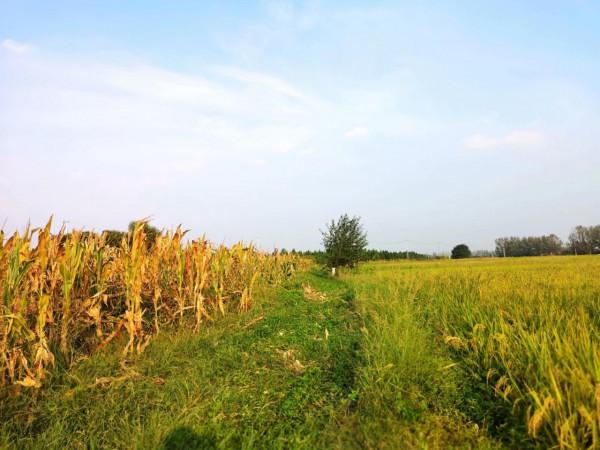 摩托周邊旮旯遊——尋朱元璋出家之於皇寺 摩托周邊旮旯遊——尋朱元璋出家之於皇寺