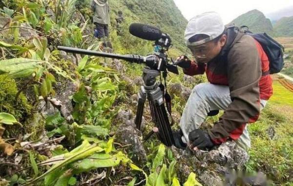 消失128年！極危物種重現雲南天坑，科學家正搶救性採集