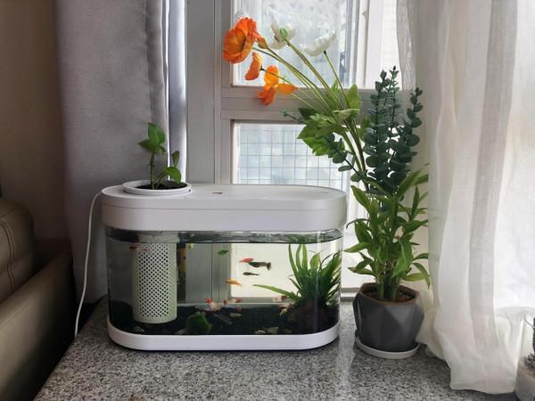 做人千萬不能太“玻璃心”,擁有鈍感力,才能收穫更美好的人生 做人千萬不能太“玻璃心”,擁有鈍感力,才能收穫更美好的人生