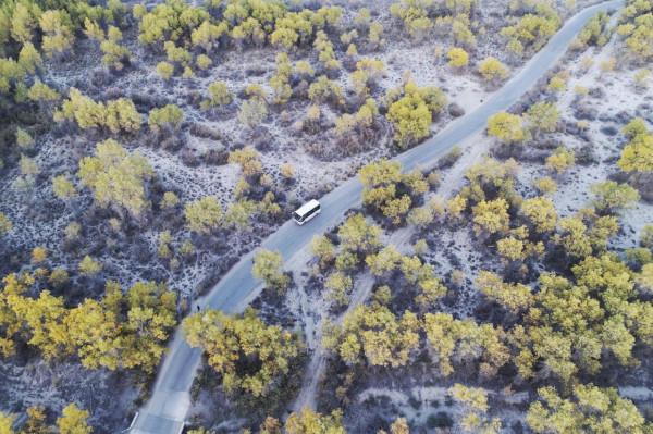 大美新疆，人間天堂