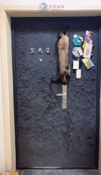 跟風網紅裝修的人越來越多,只為拍照好看,入住後“一塌糊塗” 跟風網紅裝修的人越來越多,只為拍照好看,入住後“一塌糊塗”