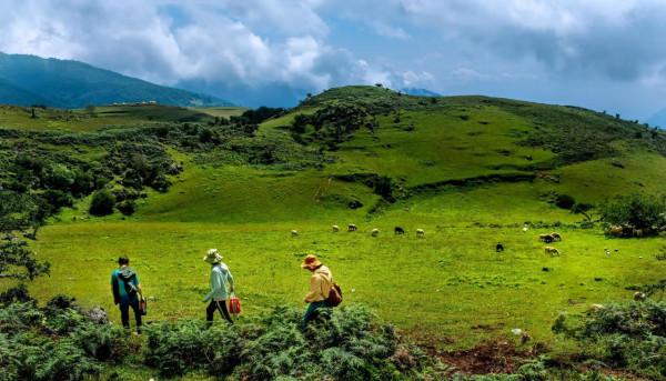攀西秘境馬鹿寨