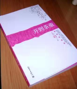 亦舒作品語錄摘抄