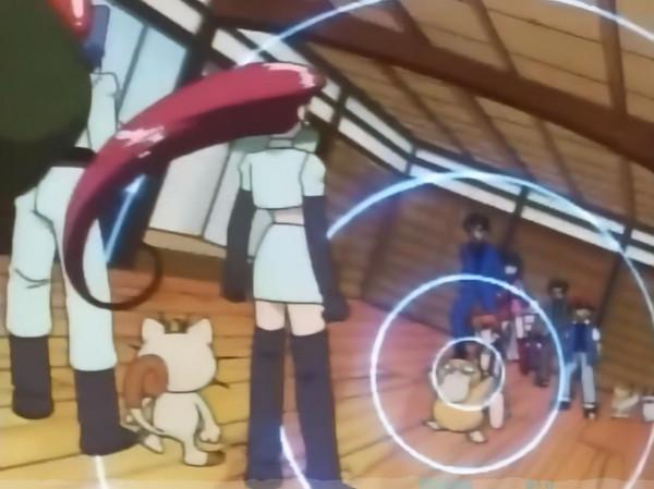 寶可夢:大智若愚的可達鴨,也有鮮為人知的高光時刻 寶可夢:大智若愚的可達鴨,也有鮮為人知的高光時刻