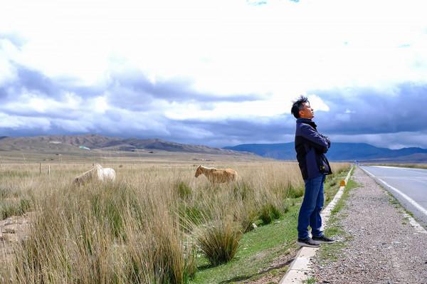 標緻4008環青海長測Day9：鳥島叫“蚊子島”，沿青海沿線達剛察！