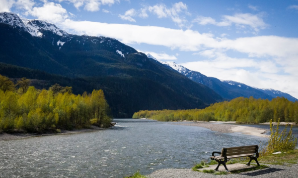 前途遠大,特立獨行的星座,擅長於模仿,高瞻遠矚,也喜歡逞強 前途遠大,特立獨行的星座,擅長於模仿,高瞻遠矚,也喜歡逞強