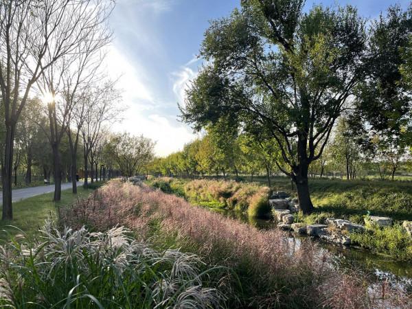 iPhone 13拍照實戰體驗：色調真實，想要高飽和度也沒問題