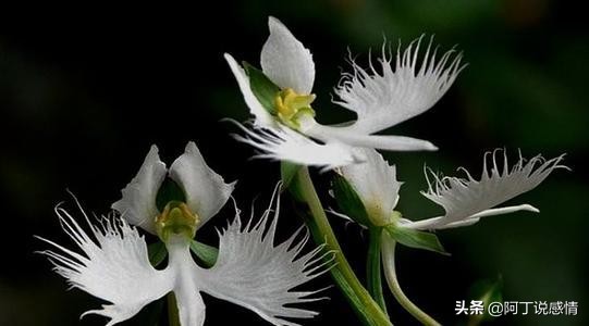 人到中年的幸福：家人可愛，心中無事，享受人間煙火