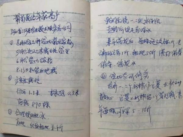 我的高考故事:當年鏖戰靜無聲 -1981年高考前後 我的高考故事:當年鏖戰靜無聲 -1981年高考前後