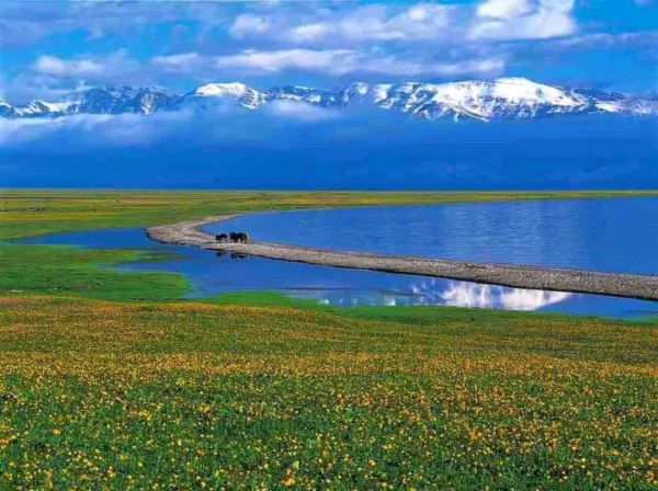 新疆是一幅畫,美得讓人沉醉 新疆是一幅畫,美得讓人沉醉
