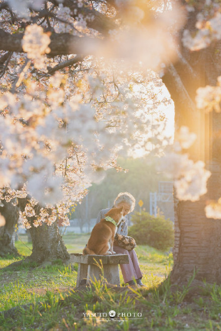 你有多久沒有回家看看了