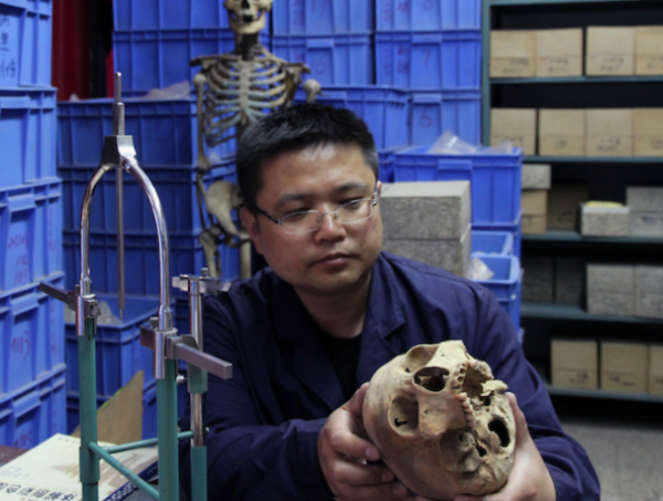什麼是人骨考古學？如何從骨骼中發現人類簡史？