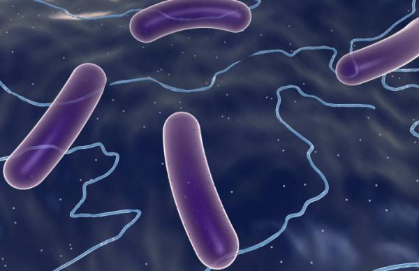 17歲女孩頭痛到休學,一個月有20天受折磨!醫生用這種“毒素”治療她 17歲女孩頭痛到休學,一個月有20天受折磨!醫生用這種“毒素”治療她