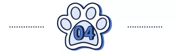 免費領養布偶貓?這是不是一個騙局 免費領養布偶貓?這是不是一個騙局