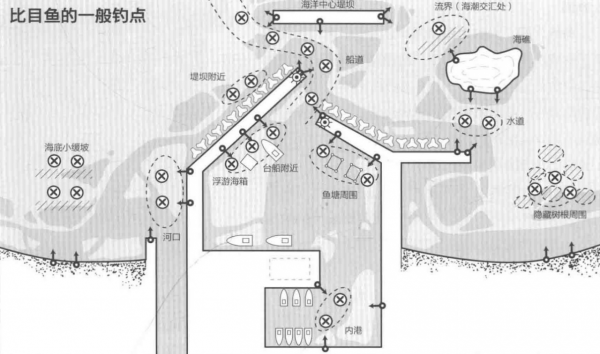 海釣比目魚釣點選擇 釣餌使用 釣法探討「 日本專業入門投釣書籍 」