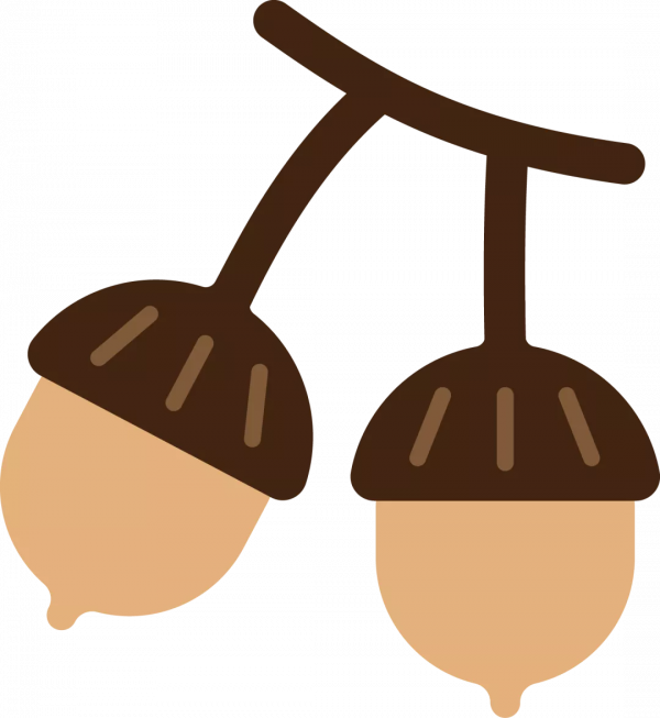 飯後放屁，尷尬的反應？健康的訊號！丨刺客輕生活