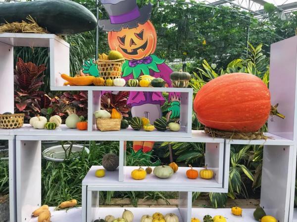 這個冬天,你應該去一趟廣西之崇左玉林靖西 這個冬天,你應該去一趟廣西之崇左玉林靖西