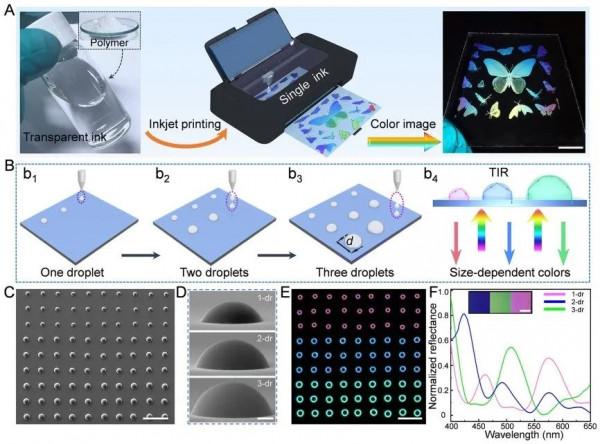 結構色新突破:一種透明墨水實現全綵影象列印 結構色新突破:一種透明墨水實現全綵影象列印