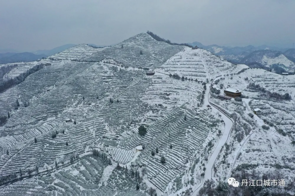 2022年春季丹江口最美雪景，你知道是哪裡嗎？
