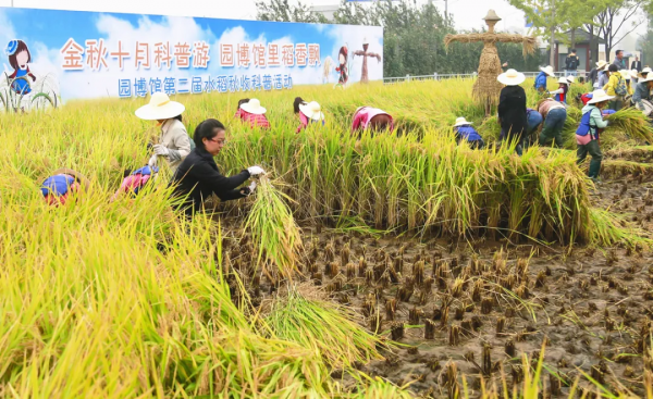 同行八載，中國園林博物館與我們共度春秋