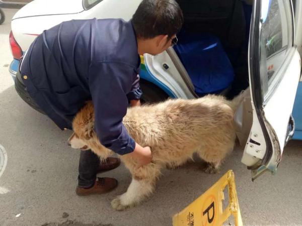 靈魂之旅—西藏遊