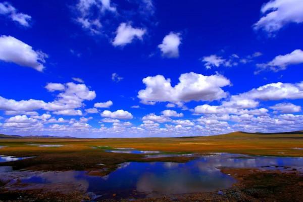 可可西里為啥不允許隨意進入？帶你深度瞭解這一“人類禁區”