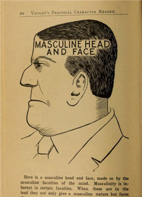 19世紀的女人挑老公 要看腦袋形狀|每天一堂冷知識 19世紀的女人挑老公 要看腦袋形狀|每天一堂冷知識