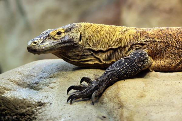 全世界60個國家的珍稀國寶