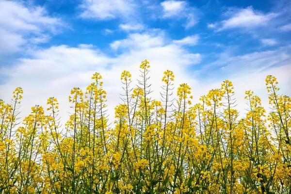 愛上閱讀 是一輩子的享受