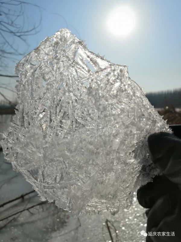 冰釣，享受冬季的樂趣