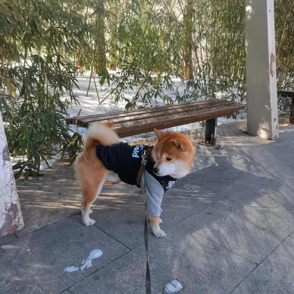 玩雪玩兒的凍腳腳了