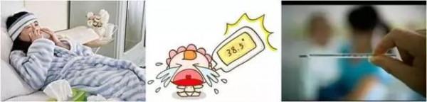 鸚鵡熱只是一種鳥病嗎?7名患者1例醫治無效,醫生帶你瞭解一下 鸚鵡熱只是一種鳥病嗎?7名患者1例醫治無效,醫生帶你瞭解一下