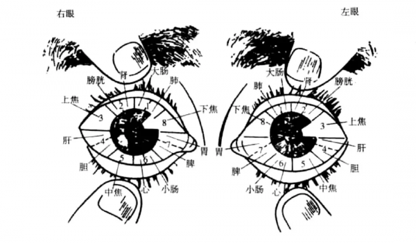 檢視眼睛的“鞏膜”,就知道“病”在何處 檢視眼睛的“鞏膜”,就知道“病”在何處
