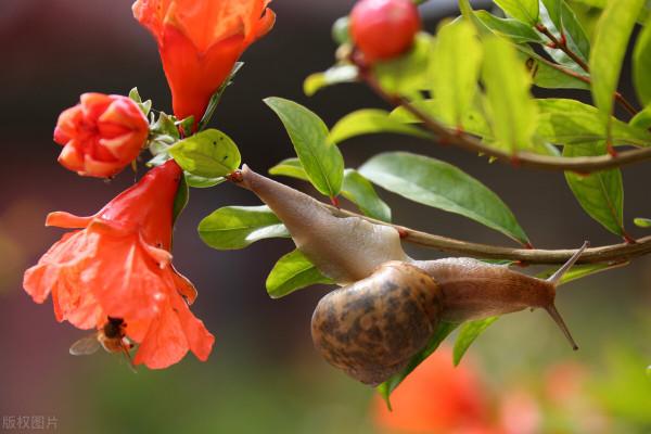 山東冷知識:推薦山東這20個世界之最和中國之最,你還知道哪些? 山東冷知識:推薦山東這20個世界之最和中國之最,你還知道哪些?