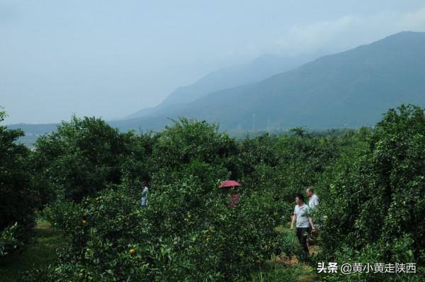 外地人眼中的漢中美食,藏在背街小巷裡,沒有當地人帶路找不到 外地人眼中的漢中美食,藏在背街小巷裡,沒有當地人帶路找不到