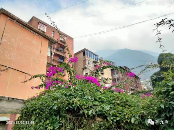 不到三十歲，就實現財務自由的農村女孩，她想要的是什麼？（50）