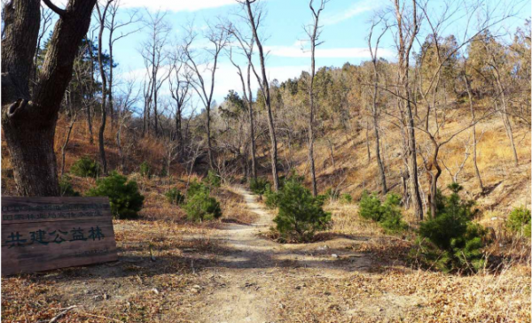 “文化碑林 綠色生態”——首都綠色文化碑林建設歷程回顧 “文化碑林 綠色生態”——首都綠色文化碑林建設歷程回顧