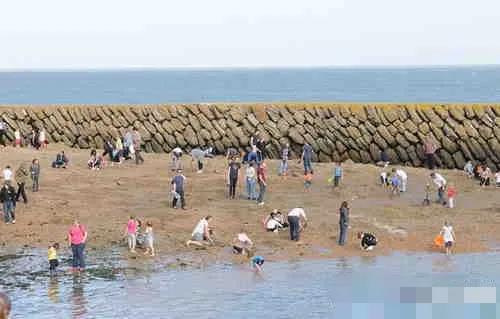 尋寶之旅：探索被埋藏寶藏的七大去處