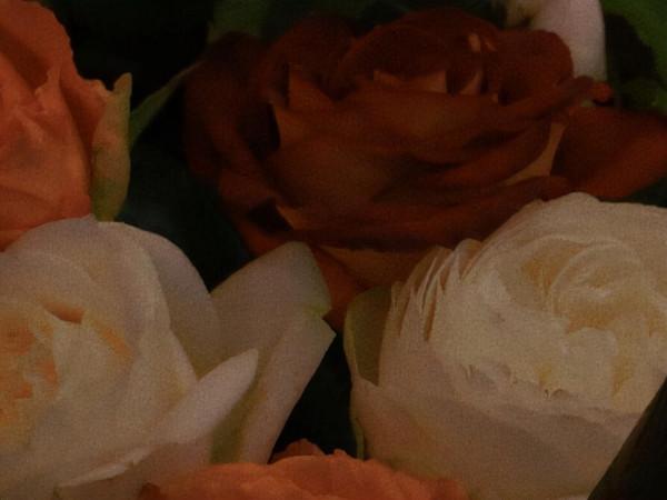 有城府,經常把真實樣子藏起來的星座,為人不看重表面的東西 有城府,經常把真實樣子藏起來的星座,為人不看重表面的東西