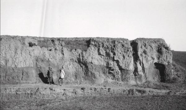 百年考古記·往事|安特生與仰韶文化 百年考古記·往事|安特生與仰韶文化