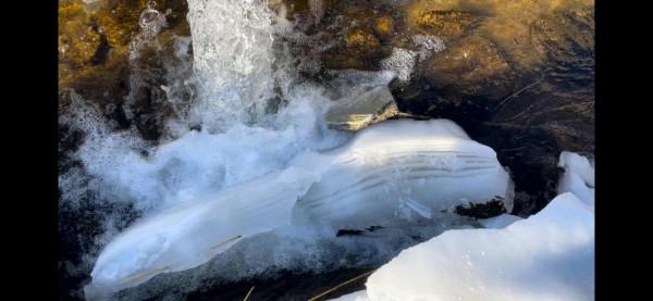 請文明出遊，也給別人一個欣賞大自然的美的機會