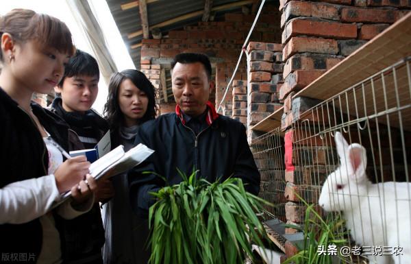 大蒜陳皮別再扔了，用在兔子上能治很多病，效果大，非常管用