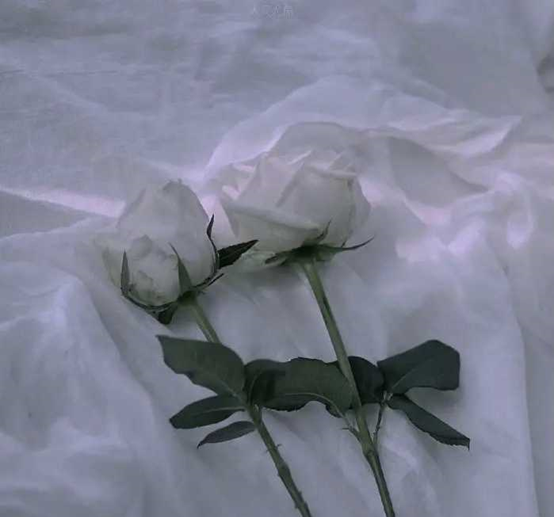 哪一句話,突然紮了你的心? 哪一句話,突然紮了你的心?