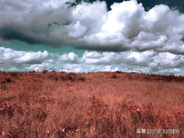 秋天，我建議你一定要去一次貴州