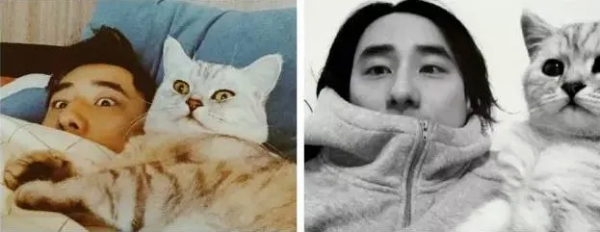 “最暖插畫師”,400幅小畫治癒千萬人:世間萬物唯可愛不可辜負 “最暖插畫師”,400幅小畫治癒千萬人:世間萬物唯可愛不可辜負