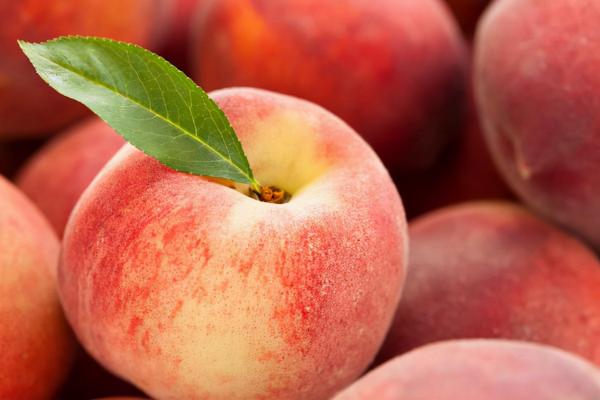 哪些水果含蛋白質豐富？常吃這3種水果，補充蛋白質很有效